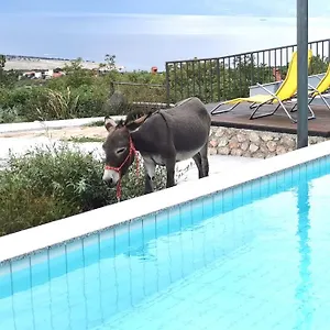 https://villa-suzi.primorje-gorskikotar.com